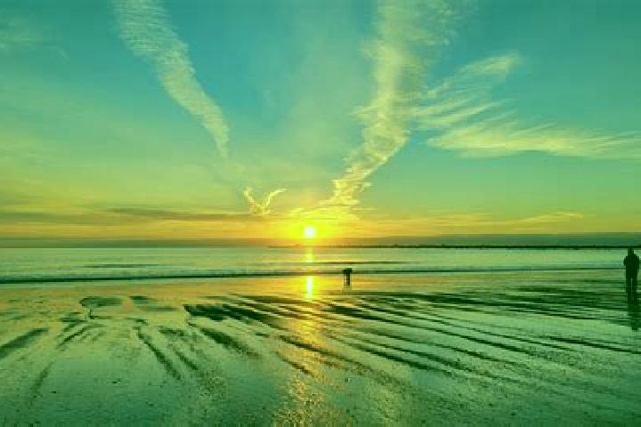 escort Ocean Shores