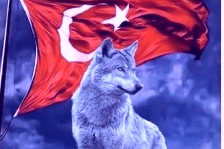 escort Oguzlar