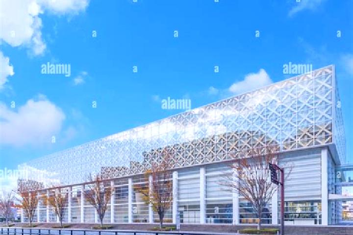 escort Oita