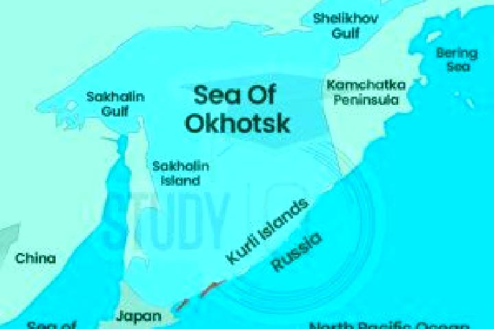 escort Okhotsk