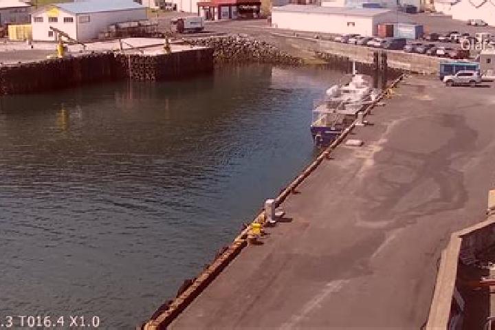 escort Olafsvik