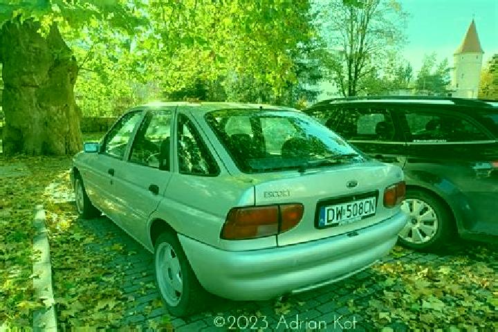 escort Oleksiyivka