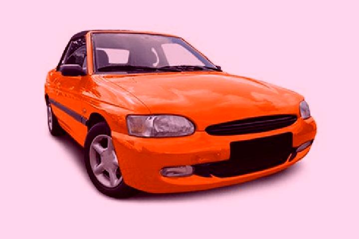 escort Oleo