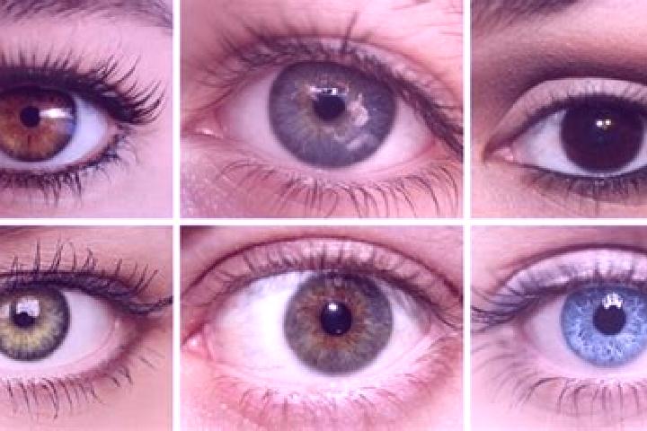 escort Olhos d Agua