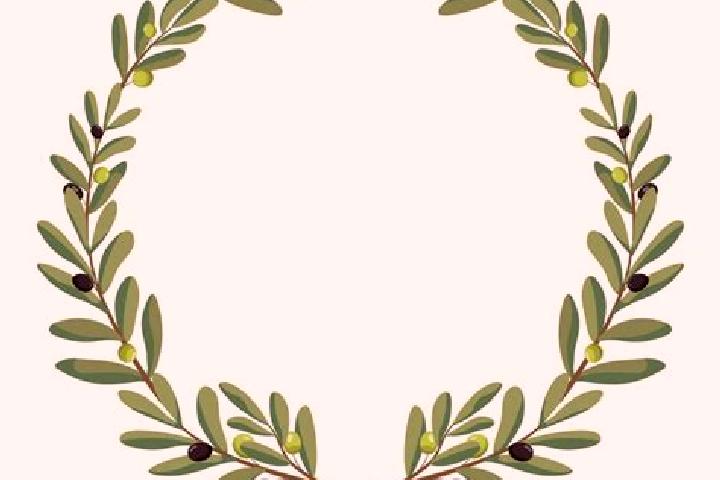 escort Olive Branch
