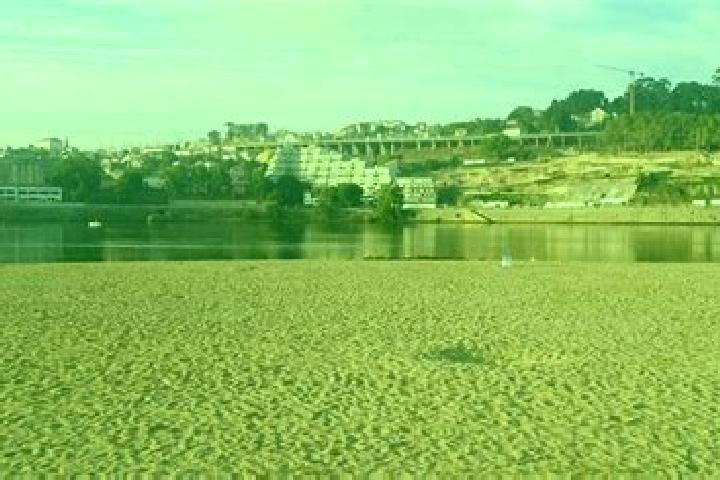escort Oliveira do Douro