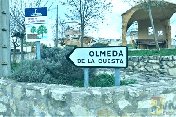 escort Olmeda de la Cuesta