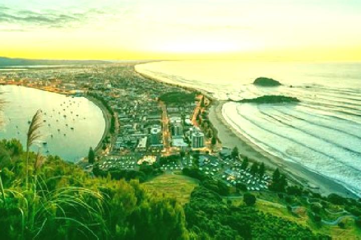 escort Omokoroa