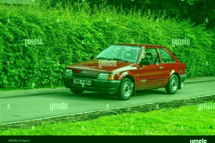 escort Oranjewoud