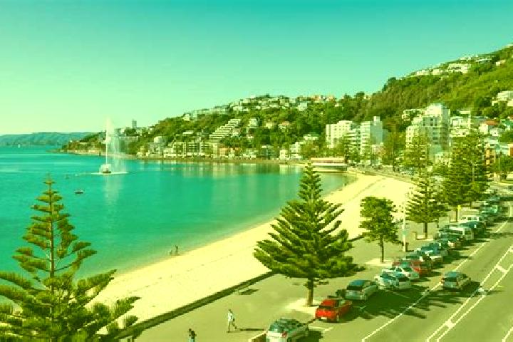 escort Oriental Bay