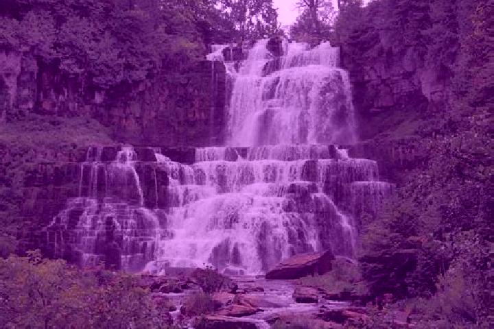 escort Oriskany Falls