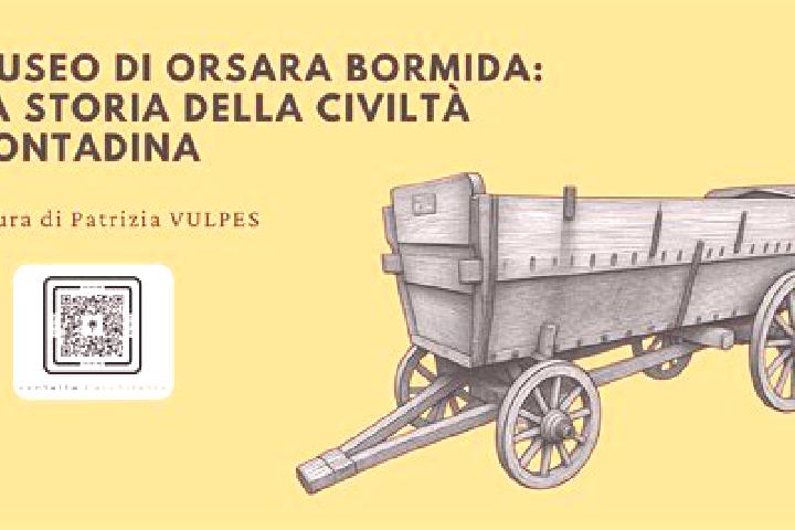 escort Orsara Bormida