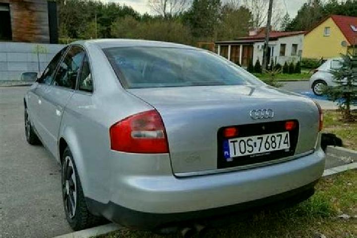 escort Ostrowiec