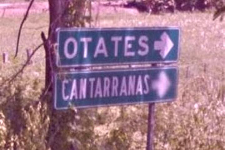 escort Otates y Cantarranas