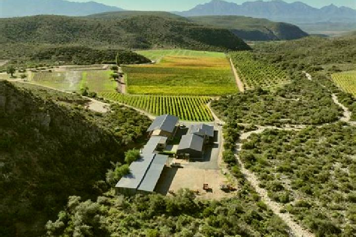 escort Oudtshoorn