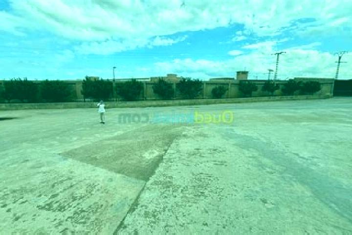 escort Oued el Alleug