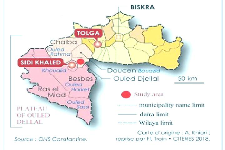 escort Ouled Djellal