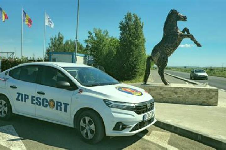 escort Ovidiu