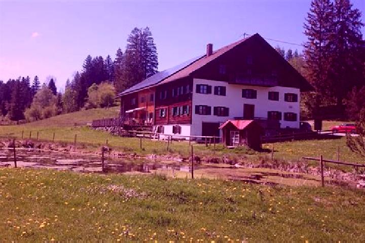 escort Oy-Mittelberg