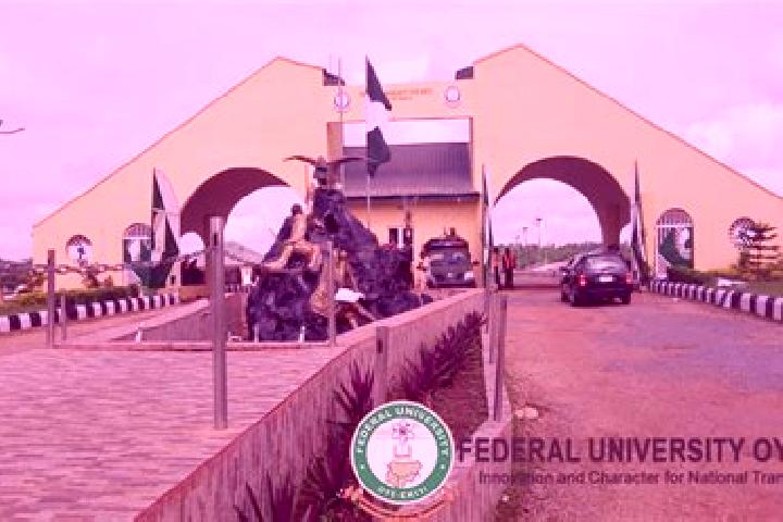 escort Oye-Ekiti