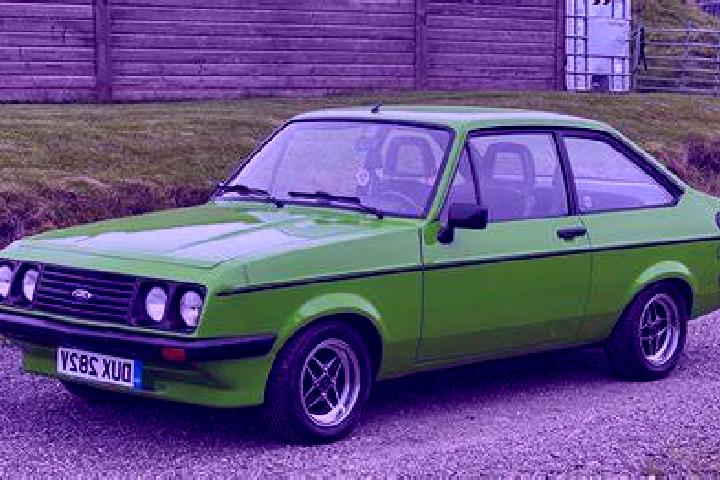 escort Oyyl