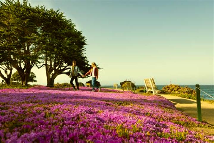 escort Pacific Grove