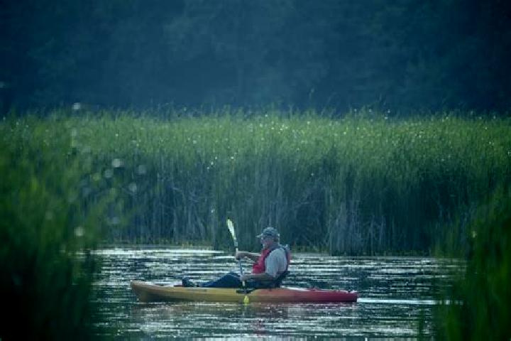 escort Paddle Prairie