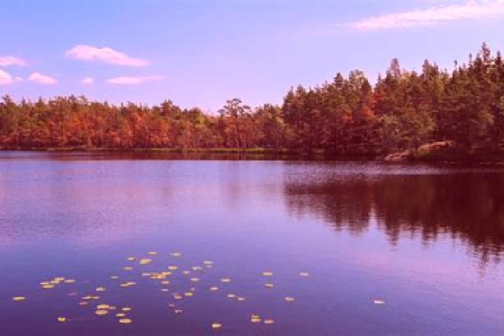 escort Paddock Lake