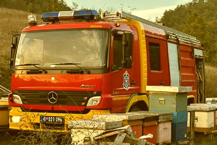 escort Padinska Skela