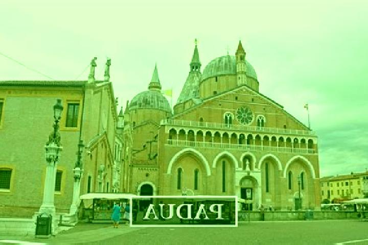 escort Padua