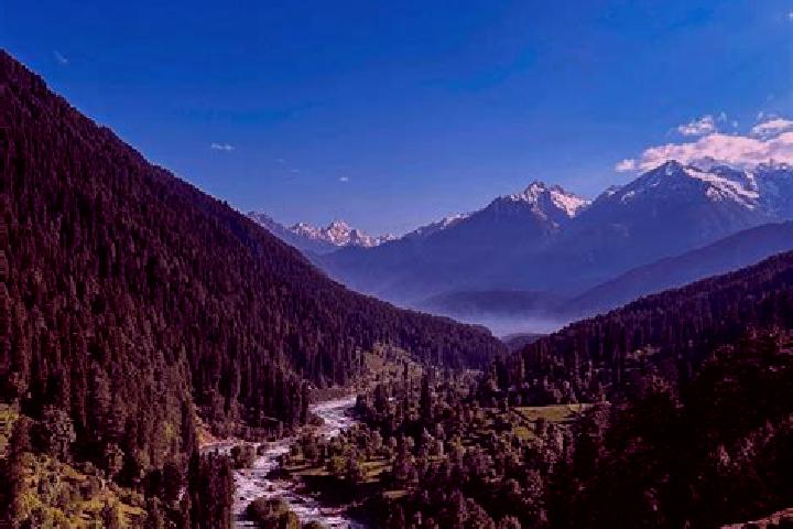 escort Pahalgam