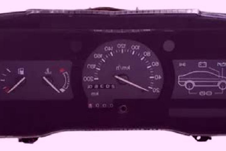 escort Painel