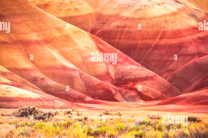 escort Painted Hills