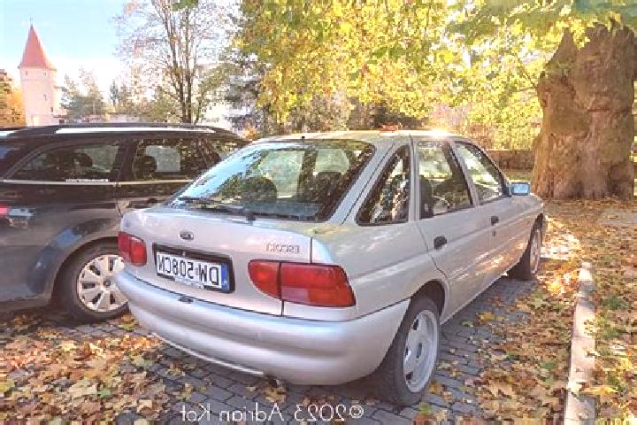 escort Paiuseni