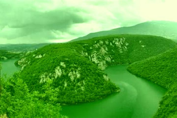 escort Pajic Polje