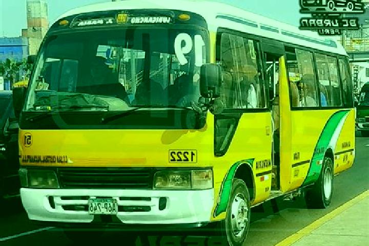 escort Palcamayo