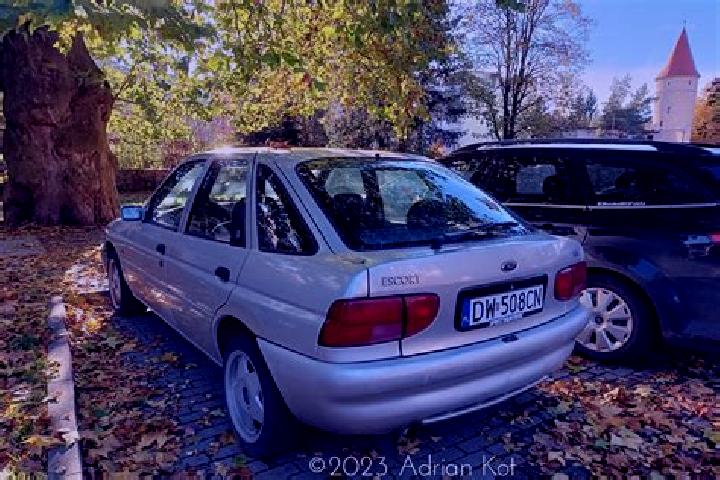 escort Palinovec