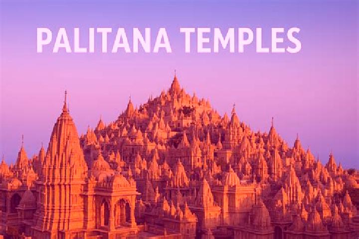escort Palitana
