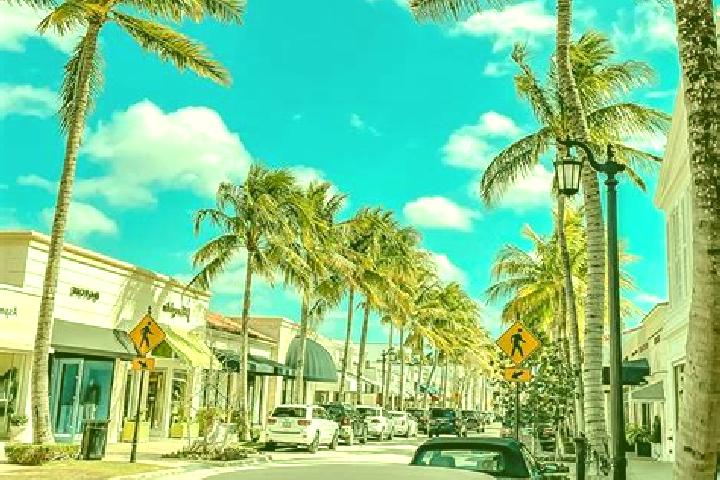 escort Palm Beach