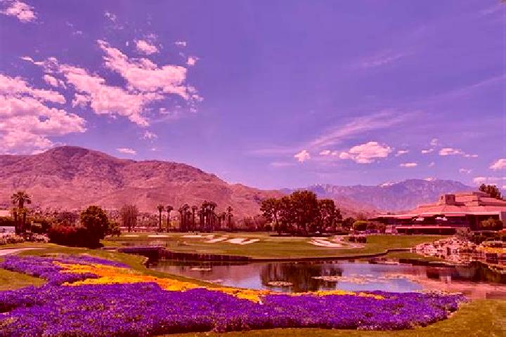 escort Palm Springs