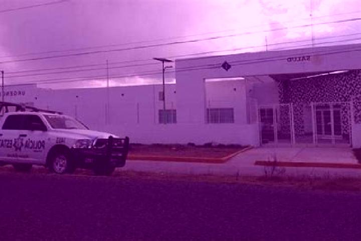 escort Palmar de Bravo