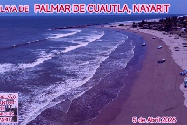escort Palmar de Cuautla