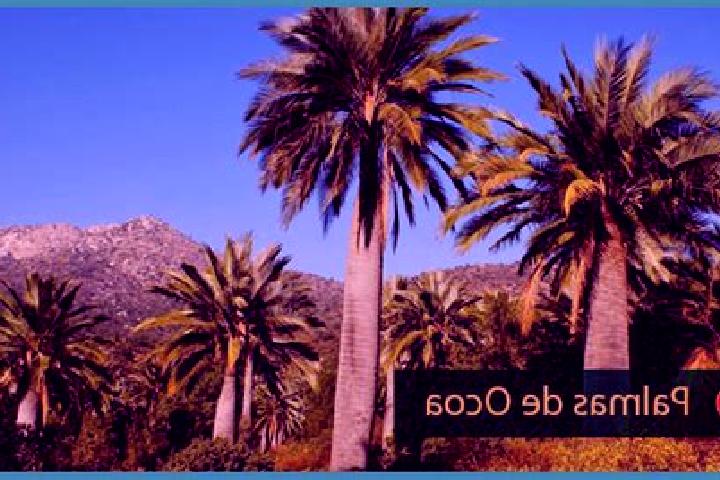 escort Palmar de Ocoa