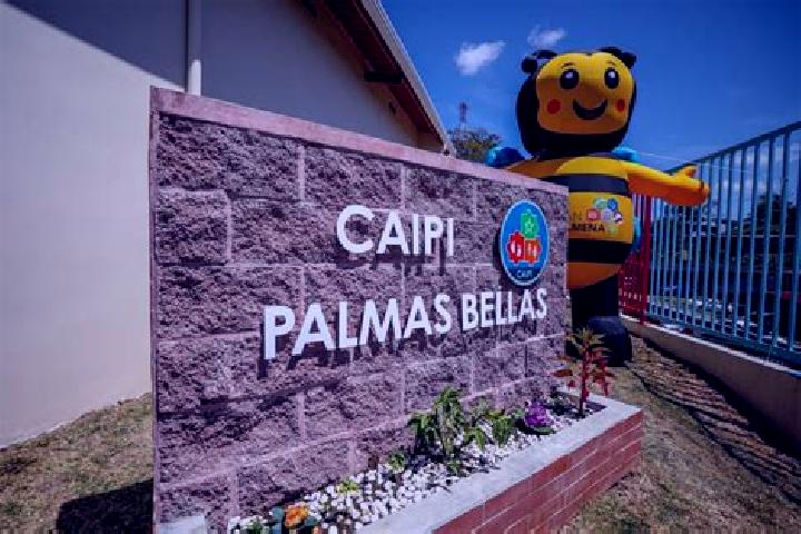 escort Palmas Bellas
