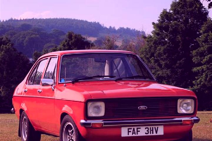 escort Palmhurst
