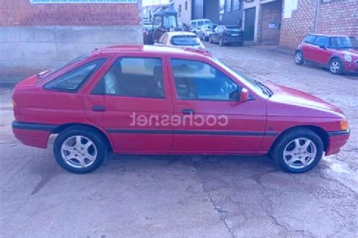 escort Palo Pintado