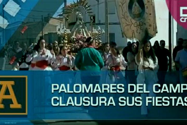 escort Palomares del Campo