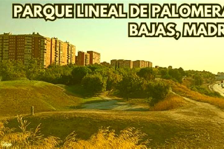 escort Palomeras Bajas