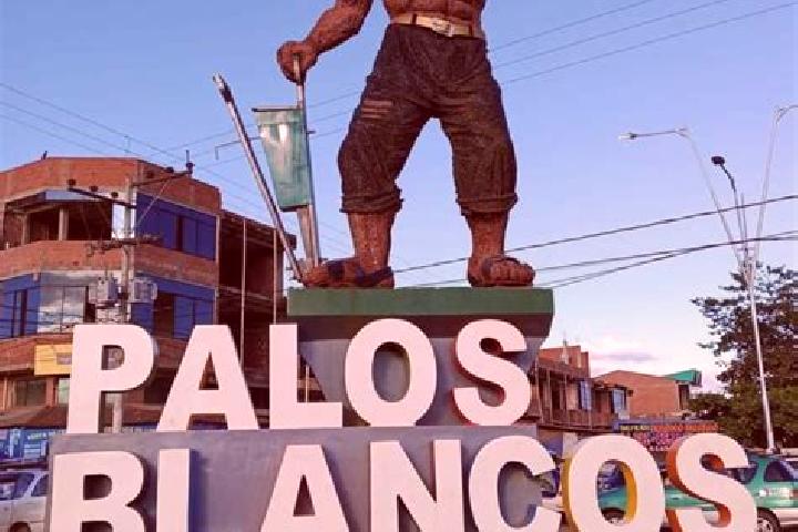 escort Palos Blancos