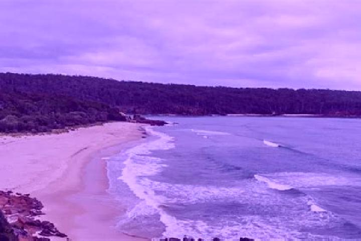 escort Pambula